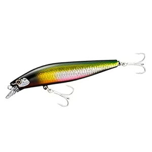 V}m(SHIMANO) V[oXA[ ~m[ GNXZX TCgATV 99F WFbgu[Xg XM-199N 017 LE