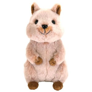 T tbtB[Y M NIbJ BR 12×22×23.5cm ʂ Aj} 킢  NHbJr[ P-1433