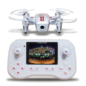 LEVE GbO(Kyosho Egg) CuX^C ^Cv 300HD XN[vX TS059