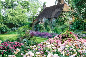 G|bNЁiEPOCHj 2016x[X[s[X WO\[pY COi ԉ̃Re[W i50×75cmj 22-507s ̂t