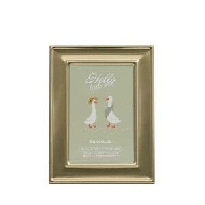 FUJICOLOR �t�W�J���[ ���^���J���[�t���[�� 3403HL �S�[���h �n�[�t�T�C�Y 1/2L�T�C�Y 507229