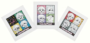 XP[^[(Skater) ڂ ^I 3Zbg Jts[` 25 OAC1T