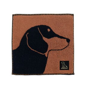  nJ` _ts[X vtB[__bNXth Q RۖhLH 0765012600