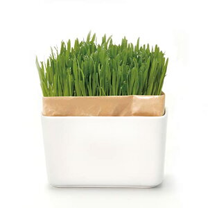 nI (HARIO) L͔|Lbg ɂxW ̑ Zbg L