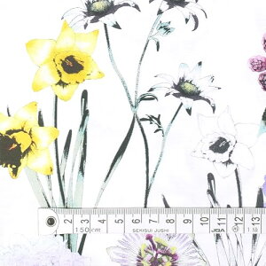 COLORFUL TEXTILE MARKET ボタニカルガーデン オックス生地 112cmx100cm D00H1110