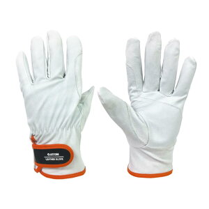 [Ag] Rrv W[ MTCY 2062 M