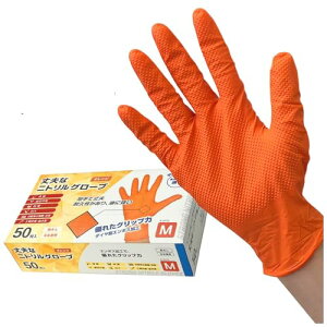 [p[N[] vȃjgO[u50 M |pi |pi Hiq@K