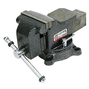 SK11(GXP[11) K[WoCX ]t 100mm