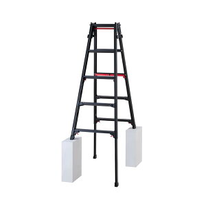 JH(Hasegawa) ͂pLkr(㕔E^b`o[t) ubNVK} OXg[N 5i RYRLB-15