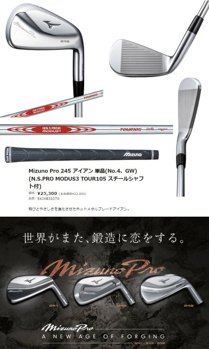楽天市場】ミズノ /MIZUNO Mizuno Pro 245 アイアン 単品(No.4、GW 