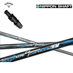 LEFC [O GsbNTu[ 815 X2 HOT p_C [O Ή X[utJX^Vtg{Vtg N.S.PRO REGIO FORMULA B+ NSv WI tH[~ BvXFORMULA+ tH