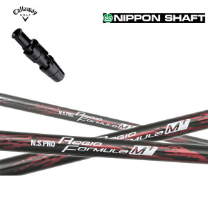 LEFC [O GsbNTu[ 815 X2 HOT p_C [O Ή X[utJX^Vtg{Vtg N.S.PRO REGIO FORMULA M+ NSv WI tH[~ MvXFORMULA+ tH