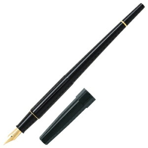 pCbg fXNy [  ML PILOT yK NM ɍ ׎ 