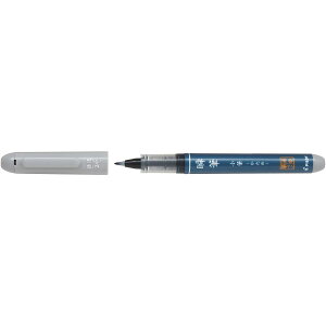pCbg uM M ߍ/n[  My CL Lbv PILOT  莆 ʌo