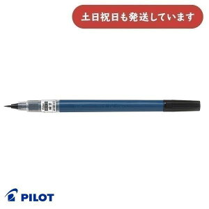 pCbg uM {iѕM ׎[  My CL Lbv PILOT  莆 ʌo