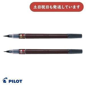 pCbg uM {iѕM /׎//n[  My CL Lbv PILOT  莆 ʌo