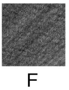 yꖳzOHM p M 9800 _[X̔ [  ML ꉔM 2H H F HB B 2B j Uni O OH ꉔM Vv uNX}Xv