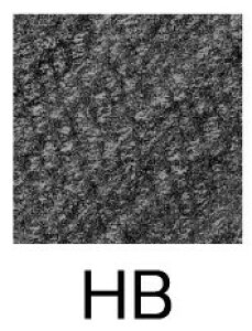 yꖳzOHM StM 9852 _[X̔ [  ML j HB B ꉔM O Uni ꉔM uNX}Xv