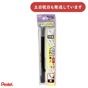 ؂Ă cTCy dM XSESWP25[  Pentel My  n ׎