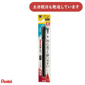؂Ă MTCy M dM XSFW34A[  Pentel My   ɍ