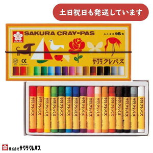 TNNpX NpX 16FZbg SЂt LP16R[  G  TN w