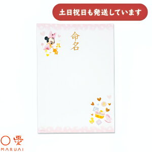 }AC IJp A4 xr[~j[ GP-D13P[  菑 CNWFbgv^ Z