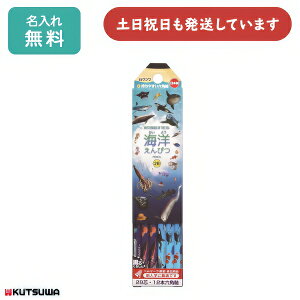 yꖳzNc Cm҂ 2B _[X̔[  ML uni    M  w