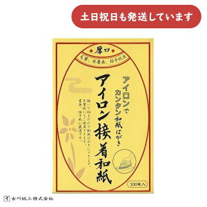 Ð쎆H ACڒa ͂TCY  100[  t  G莆