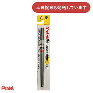 ؂Ă ؂ĂM 痿CL ɍ XFP5F[  Pentel My ϐ ό 