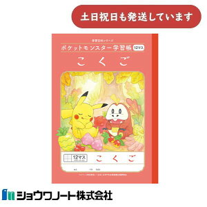 VE |PbgX^[wK  12}X \[_[蕶[  m[g w wZ m ƒwK |P 