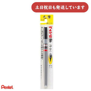 ؂Ă ؂ĂM 痿CL  XFP5M[  Pentel My ϐ ό 