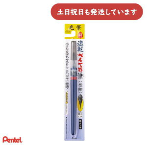 ؂Ă ؂ĂM ɍ XFPD5F[    痿 Pentel ϐ ό