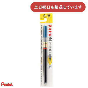 ؂Ă ؂ĂM  XFL2V[  Pentel My  