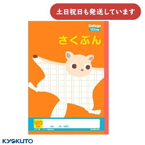 {m[g JbWAj} Ԃ 120l Z~B5 [ m[g 앶 LNgE KYOKUTO  TTr