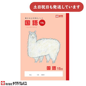 TNNpX LȐSރm[g  15s B5[  w  TNwK 킢 