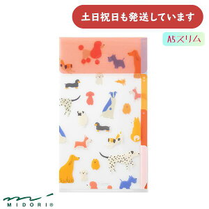 ~h 3|PbgNAz_[ A5X tbvt Ck[  NAt@C  킢 fUCtB