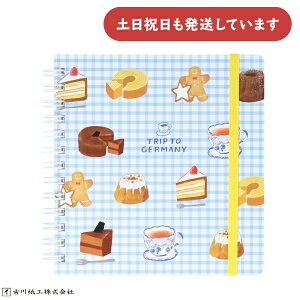 Ð쎆H XNGAOm[g hCcTRIP َq 5mmႨ 킢 RpNg m[g