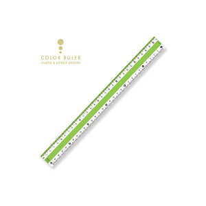 hvX`bN J[K 30cm[   킢 [[ v [X^[g u[ O[ CG[ sN