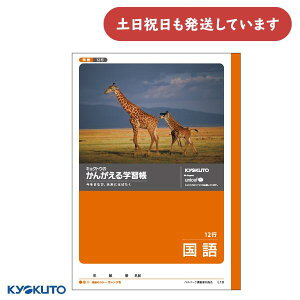 {m[g 񂪂wK  12s[  m[g  KYOKUTO LNgE