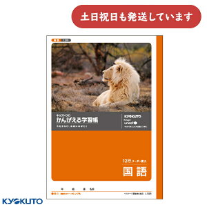 {m[g 񂪂wK  12s S[_[[  m[g  KYOKUTO LNgE