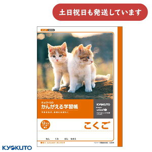 {m[g 񂪂wK  12}X [_[[   m[g KYOKUTO LNgE