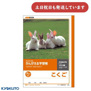 {m[g 񂪂wK  10}X [_[[  m[g    KYOKUTO LNgE