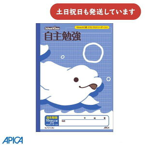 {m[g wK XN[LbY ׋ 10mmRr NX[_[蕶[  wK 킢  AsJ APICA r