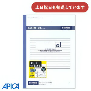 AsJ ItBVm[g r 6mm Br Z~B5[  APICA {m[g