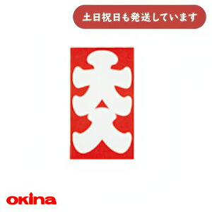 オキナ 大入袋 82 61×97mm 10枚入文房具 文具 ポチ袋 お年玉 紙袋 保存袋 お正月 お祝い