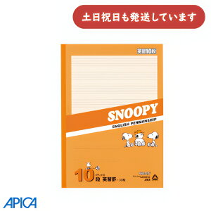 yizAsJ Xk[s[r Z~B5 pKr 10i[   APICA {m[g p