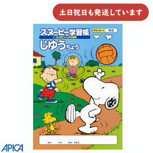 �y�݌Ɍ���z���{�m�[�g �X�k�[�s�[�w�K�� ���䂤���傤���n ���[�� ���� ���R�� �m�[�g �g�[�J�C �A�s�J