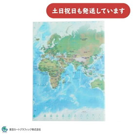 東京カートグラフィック クリアファイル 地政メルカトル A4 タテ文房具 文具 世界地図 タイムゾーン 小学生 中学生 暗記 保存 保管 保存