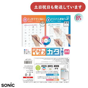 \jbN J^~ B5 \ŏSn؂ւ镶[  wK ׋ dM SONIC n w