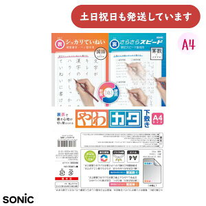 \jbN J^~ A4 \ŏSn؂ւ镶[  wK ׋ dM SONIC n w